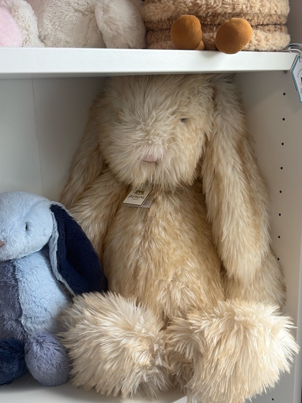 Jellycat Cream-Blend Bashful Long-Eared Bunny Plush NWT HUGE Genuine